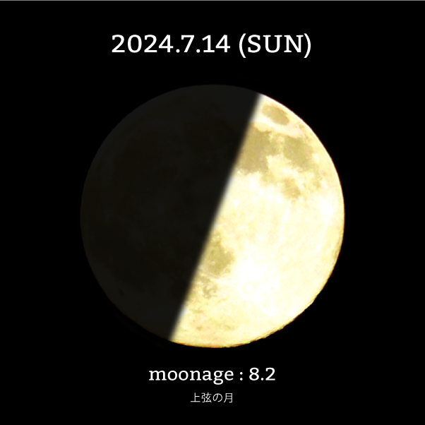 上弦の月-2024年7月14日の月