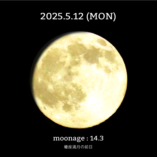 蠍座満月の前日-2025年5月12日の月