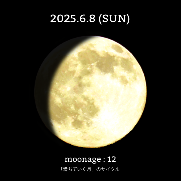 月齢12-2025年6月8日の月