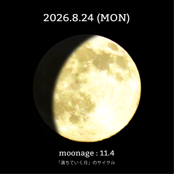 月齢11.4-2026年8月24日の月